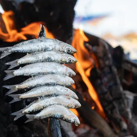 Hotel Ms Tropicana Costa Del Sol Torremolinos