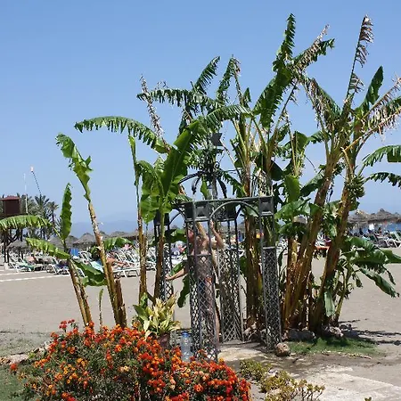 Hotel Ms Tropicana Costa Del Sol 4*