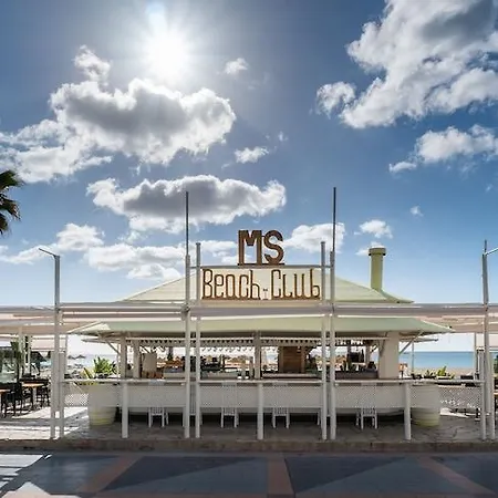 Ms Tropicana