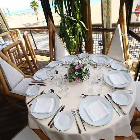 Ms Tropicana 4*