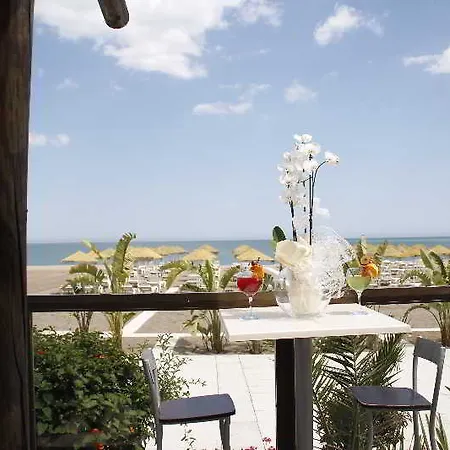 Ms Tropicana توريمولينوس