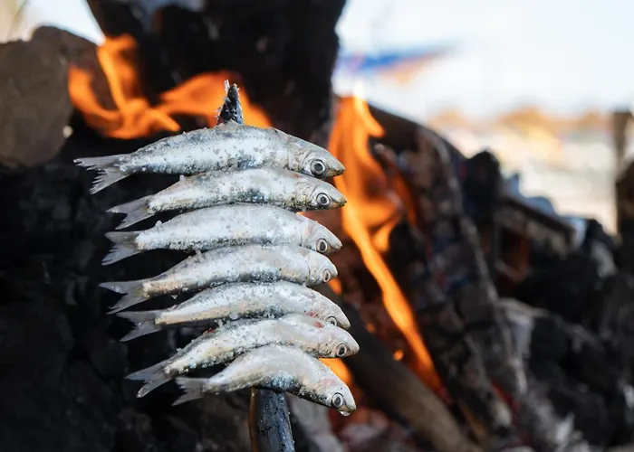 Отель Ms Tropicana Costa Del Sol Торремолинос