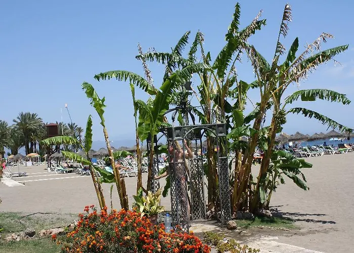 Отель Ms Tropicana Costa Del Sol 4*